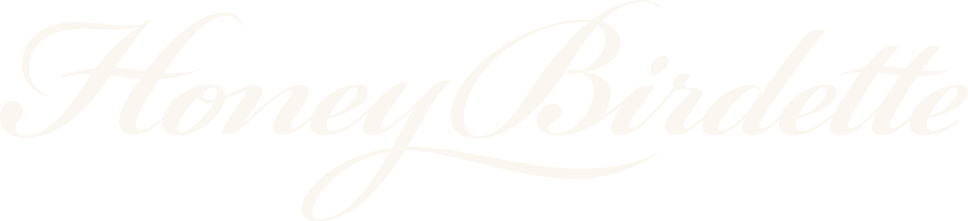 Honey Birdette